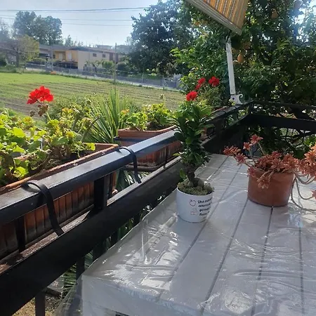 Bed & Breakfast Ospitalita Il Noce